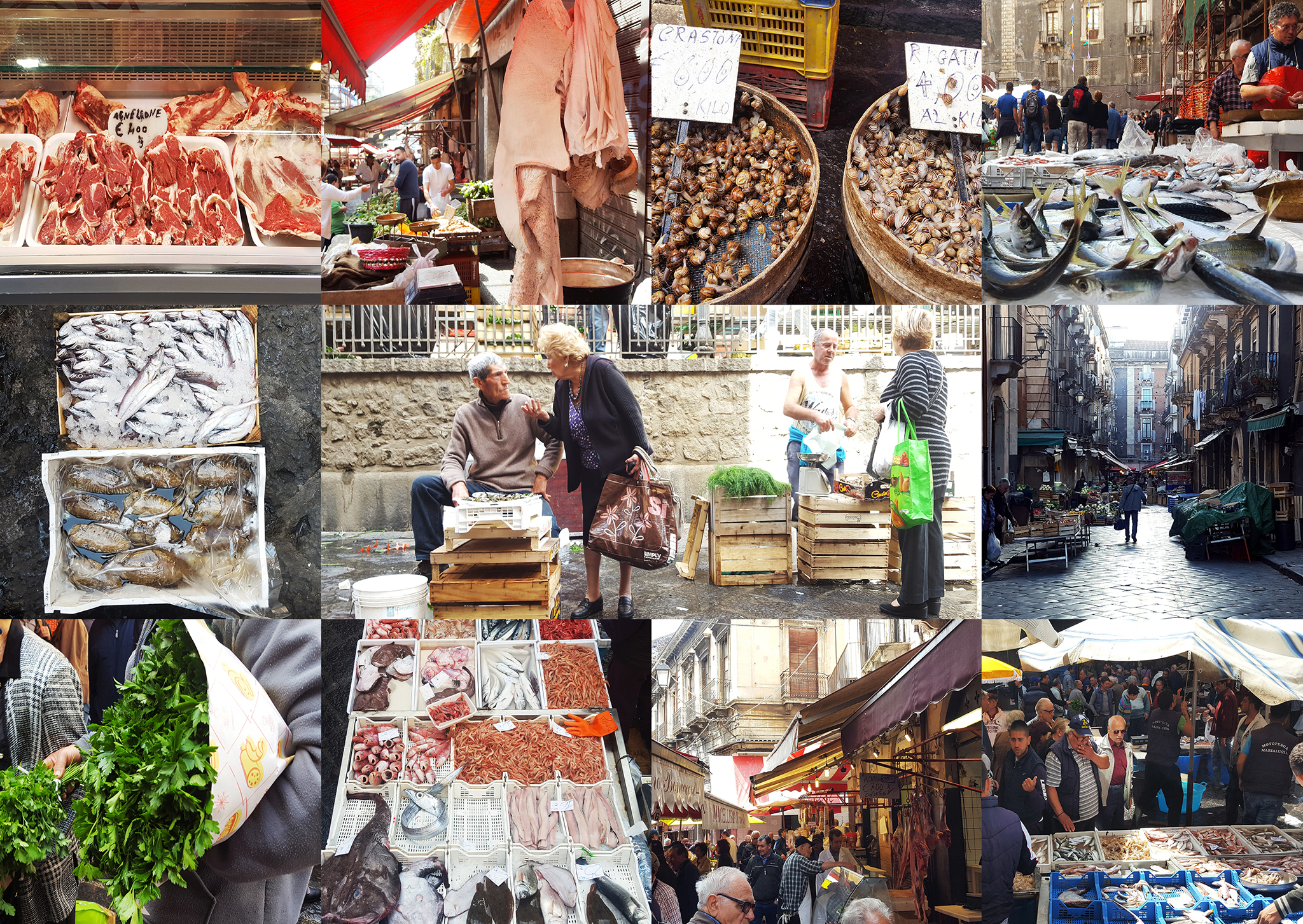 panoramica-piscaria2